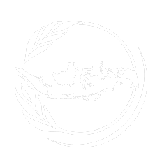 IMUN 2025